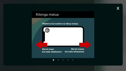 Māhuhu ki te Rangi Screenshot