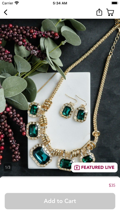 Wilde Merrion Boutique Screenshot