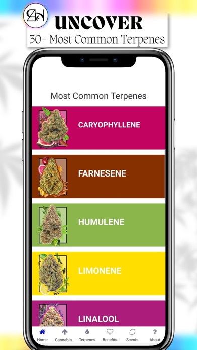 RH Cannabis Companion Screenshot