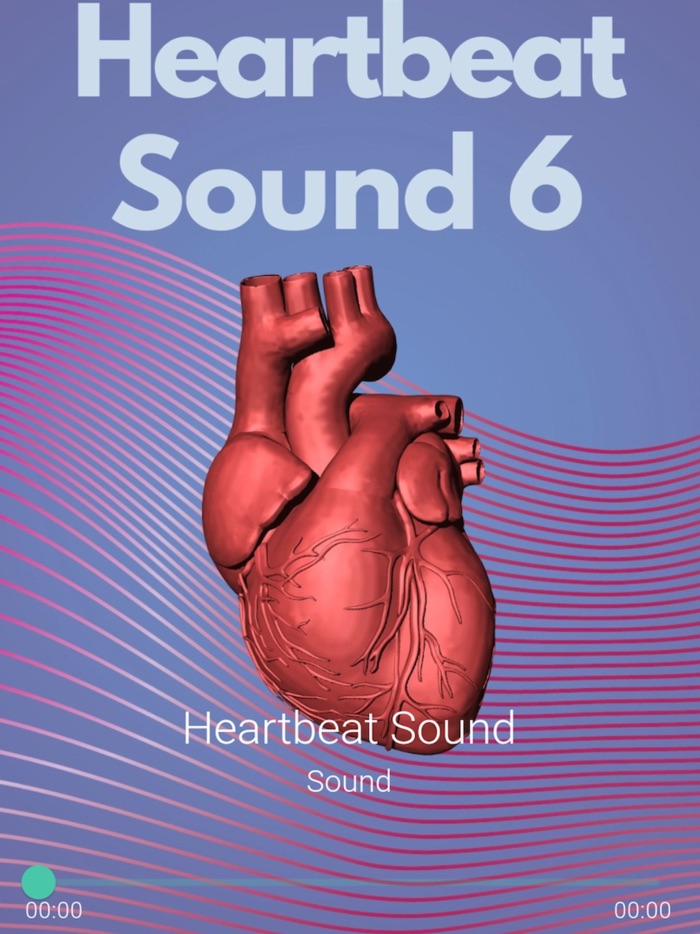 Heartbeat Sounds Pro