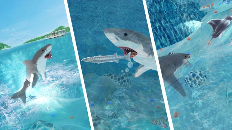 Hungry Shark Attack Simulator screenshot-4