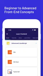 learn frontend web development iphone screenshot 2