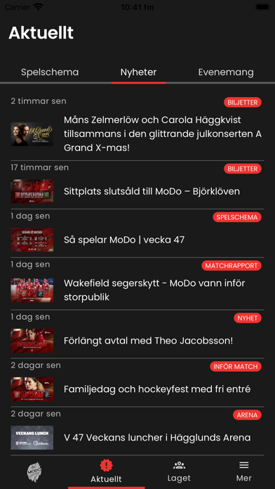 MoDo Hockey Screenshot