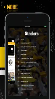 How to cancel & delete pittsburgh steelers 2