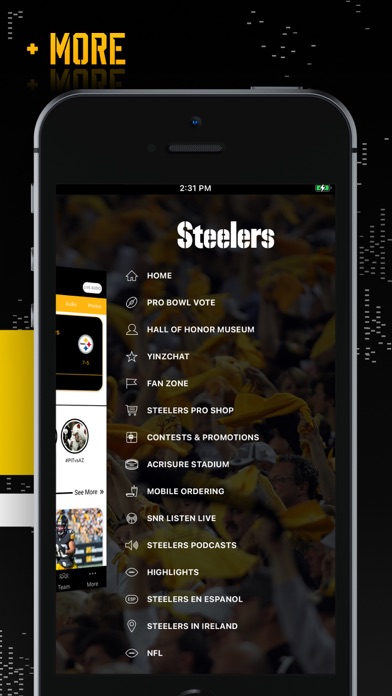 Pittsburgh Steelers Screenshot