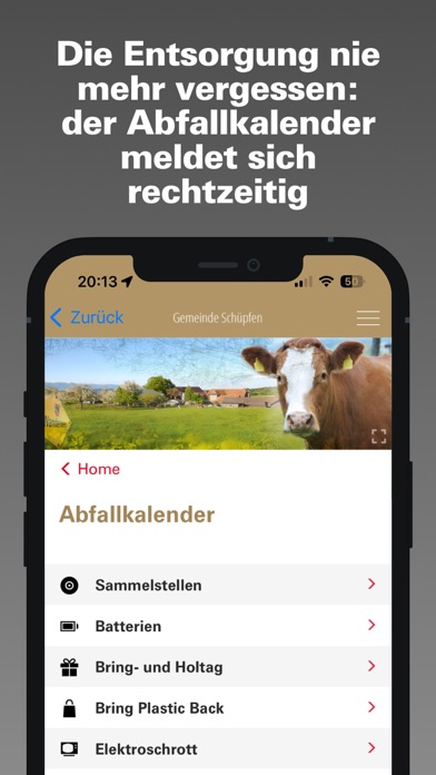 Schüpfen Screenshot