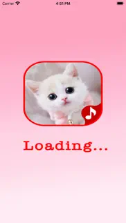 cute cat sounds iphone screenshot 1