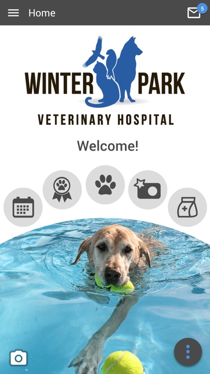 Winter Park Vet