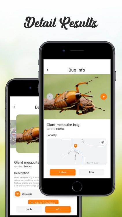 Insect ID Bug Identifier screenshot-3