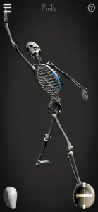 Skelly - Art Model screenshot #2 for iPhone