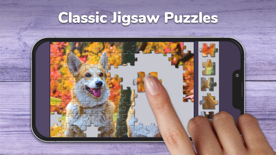 Jigsaw Puzzles Classic Games - 1.7.3201 - (iOS)