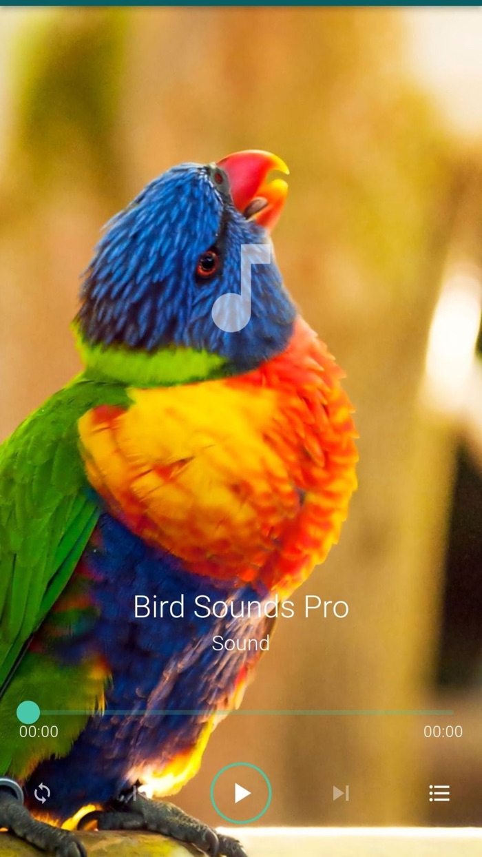 Bird Sounds Pro Plus
