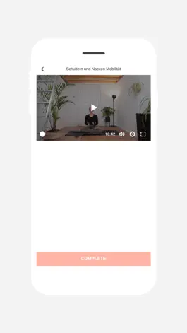 Game screenshot Dein VIBE hack