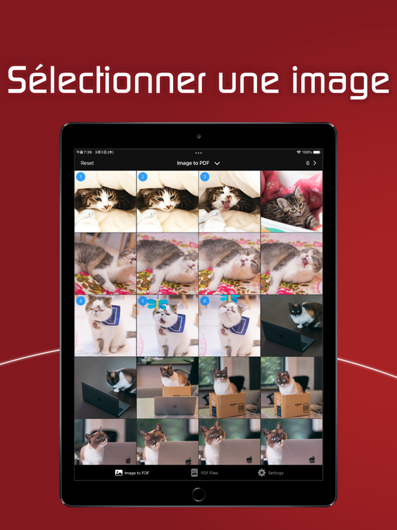 Screenshot #5 pour Image en PDF - Photo en PDF