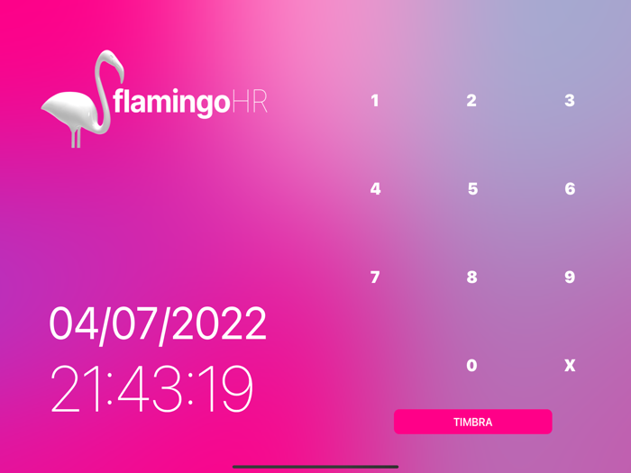 flamingoHR clock