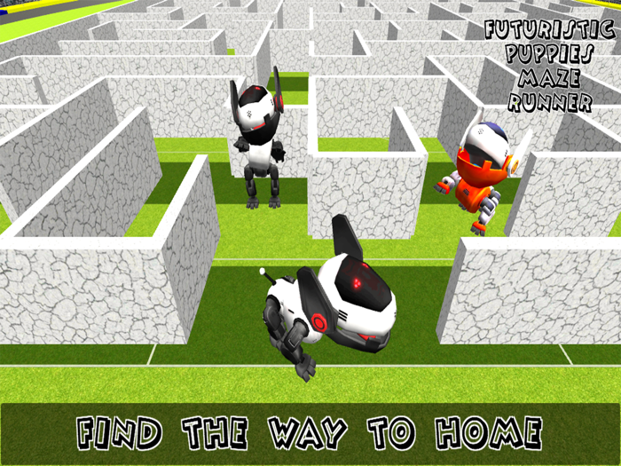 Futuristic Puppy Maze Run