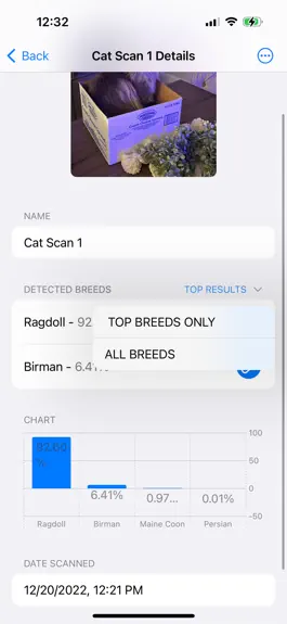 Game screenshot Cat Breed Classifier hack