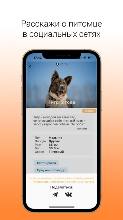 Goodog взять питомца из приюта screenshot-3