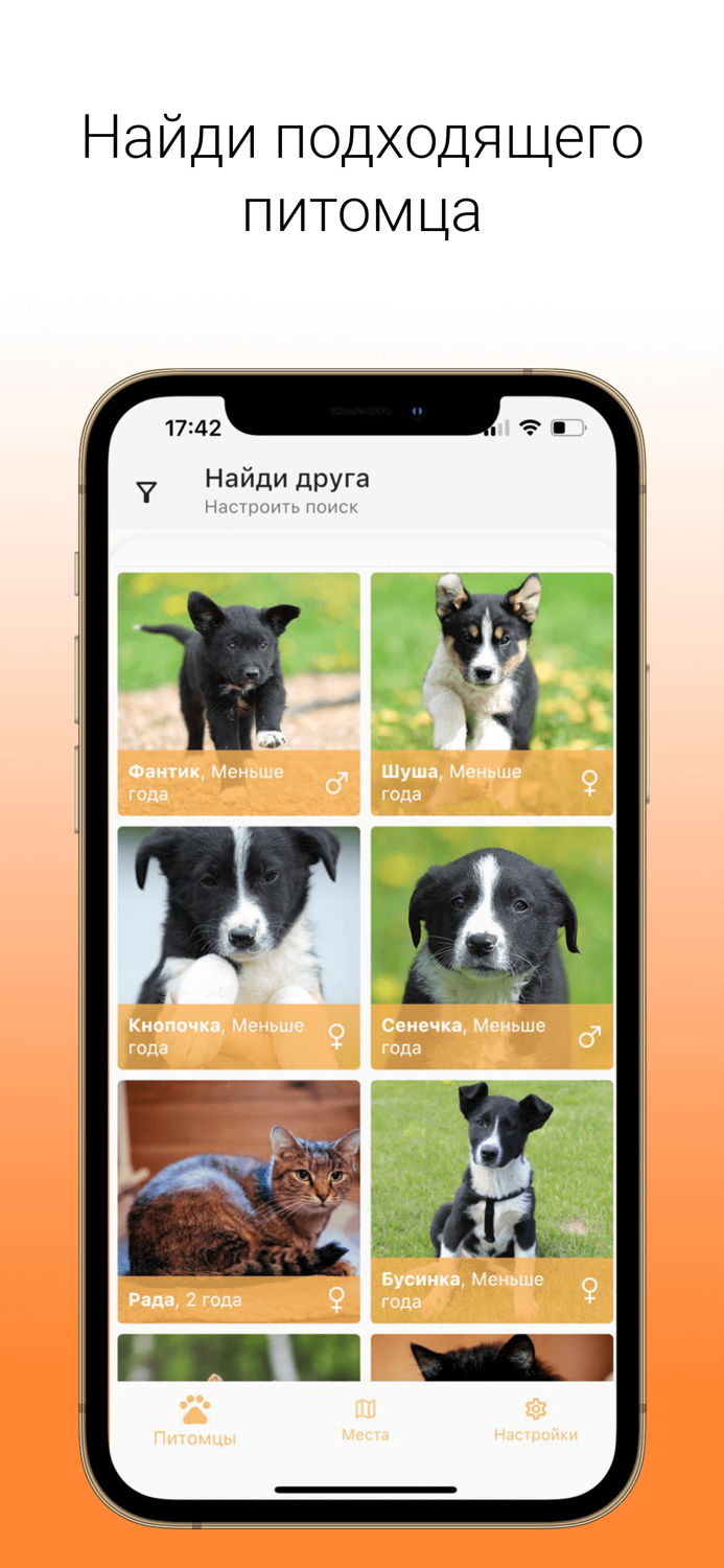 Goodog взять питомца из приюта