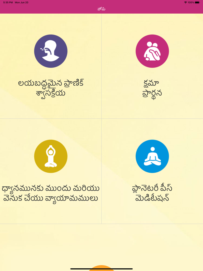 YPV Sadhana - Telugu