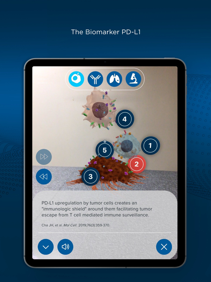 ImmerseRx mNSCLC Immunotherapy