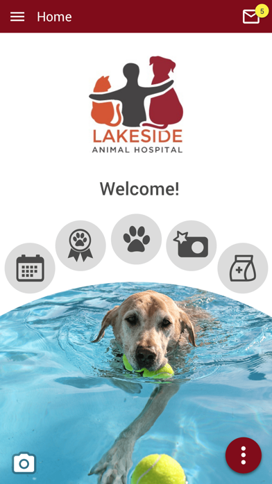 Lakeside Animal Hospital FL Screenshot