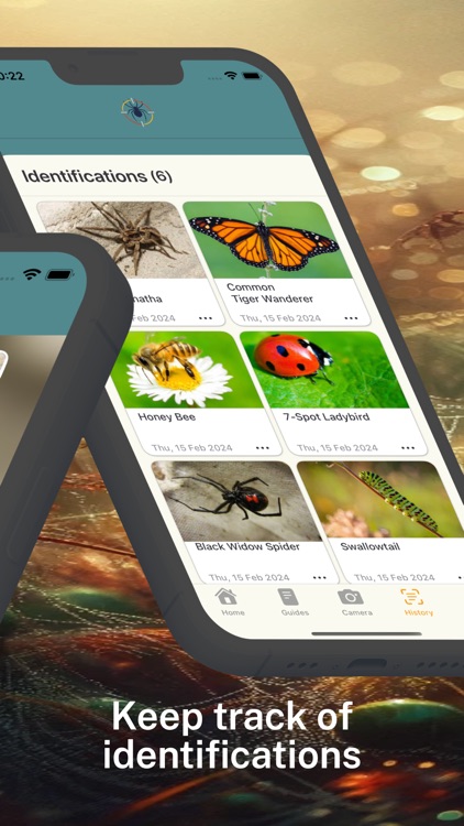 Spider Identifier App