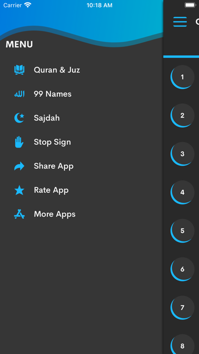 The Quran in English Screenshot