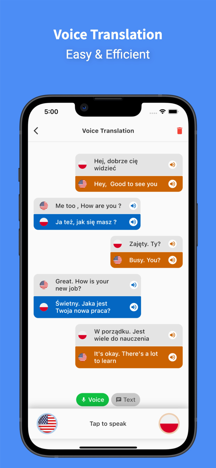 Polish - English  Translator