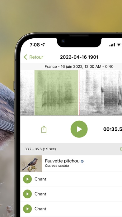 Screenshot #3 pour Merlin Bird ID par Cornell Lab