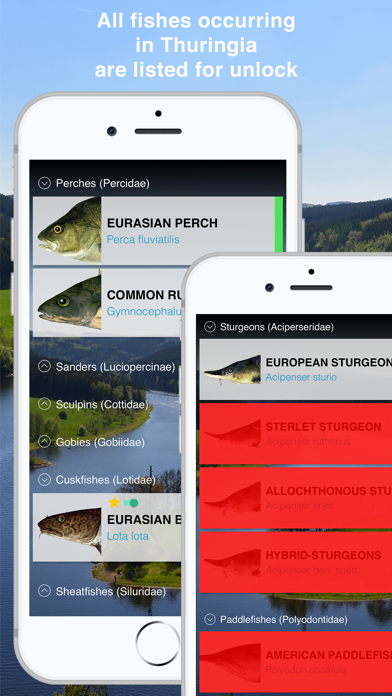 Screenshot #2 pour Fishguide Thuringia