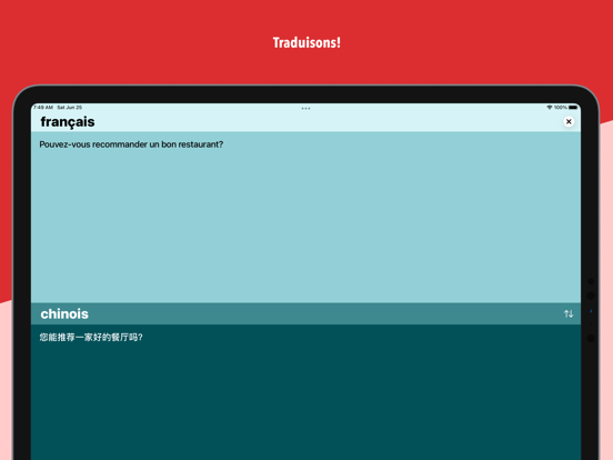 Screenshot #4 pour Traduction Facile HD