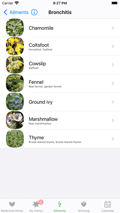 Medicinal Herbs Info Screenshot