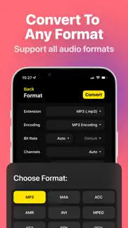 audio converter· iphone screenshot 4