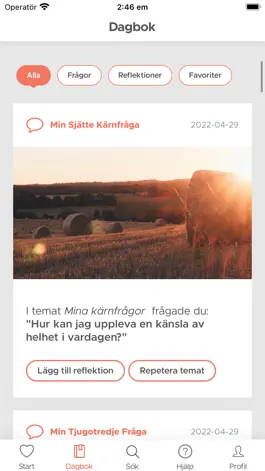 Game screenshot Livsstilsverktyget hack