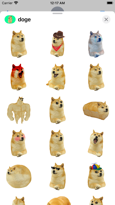 such doge Screenshot