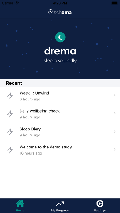 schema Screenshot