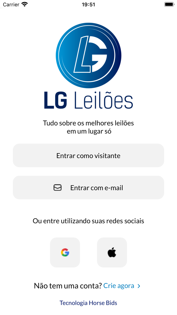 LG Leilões