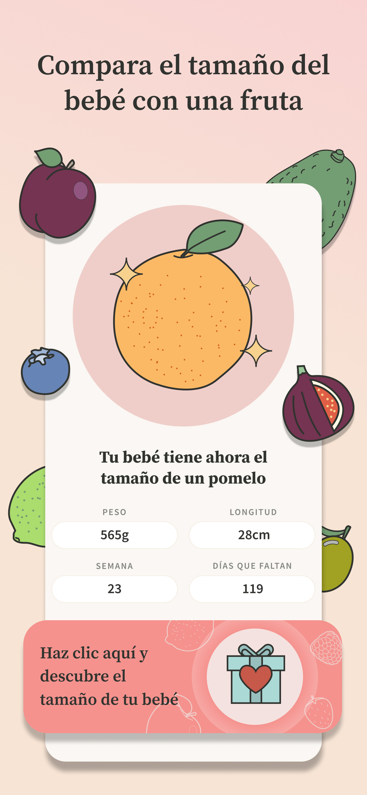 Pregnancy Tracker | Preglife