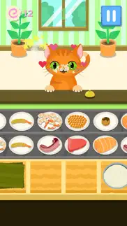 kitty sushi problems & solutions and troubleshooting guide - 4