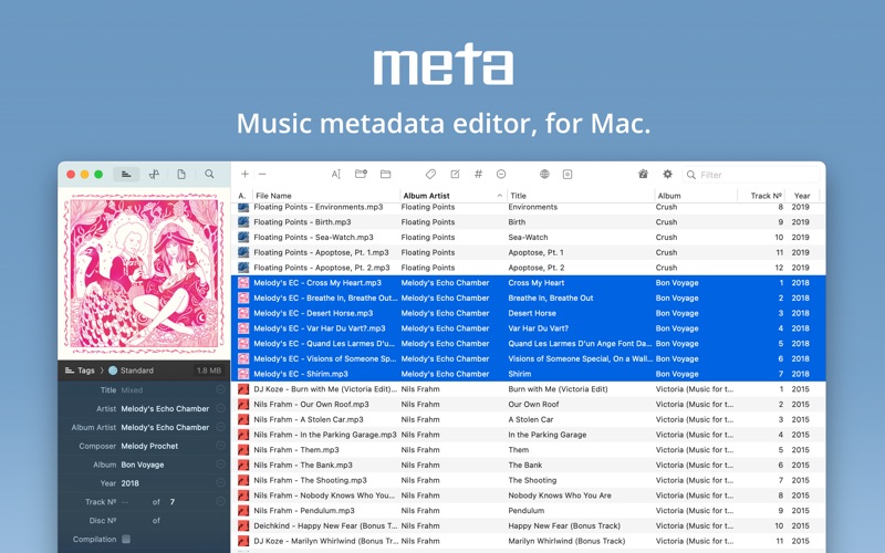 Meta — Music Tag Editor Screenshot
