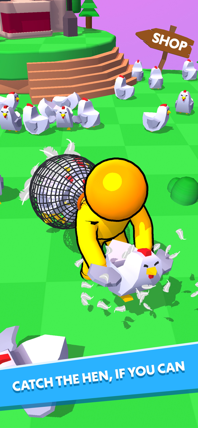 Catch The Hen 3D