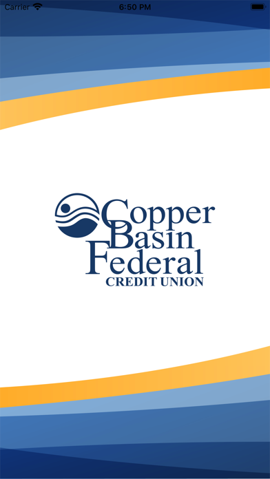 Copper Basin FCU Screenshot