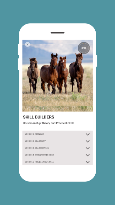 Horsemanship Insider Screenshot