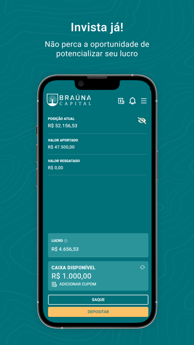 Braúna Invest Screenshot