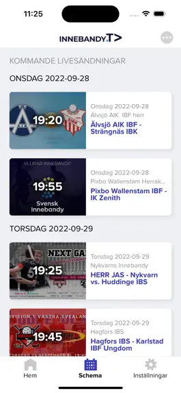 Game screenshot InnebandyTV hack