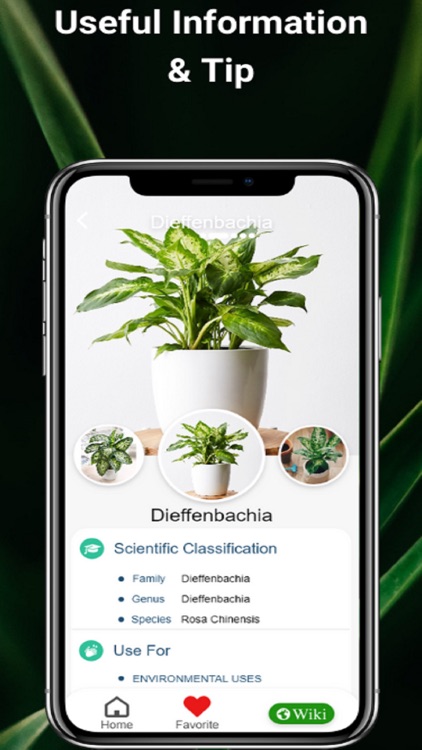NatureSnap - Plant Identifier