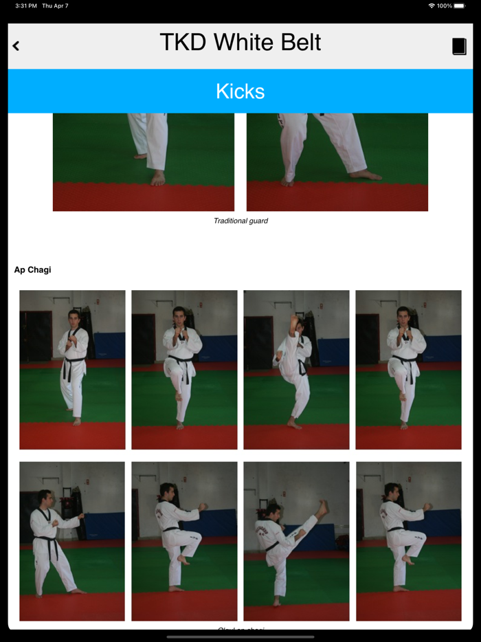 The Taekwondo White Belt