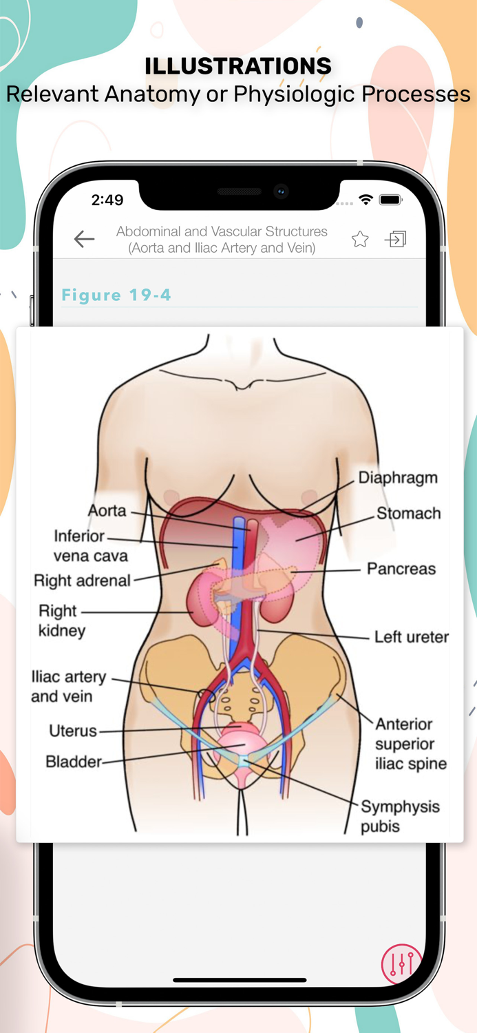 Nurses HBK Health Assessment