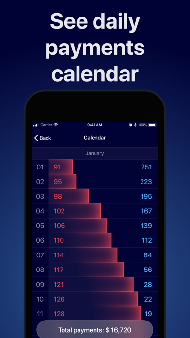 Money loan calculator Screenshot